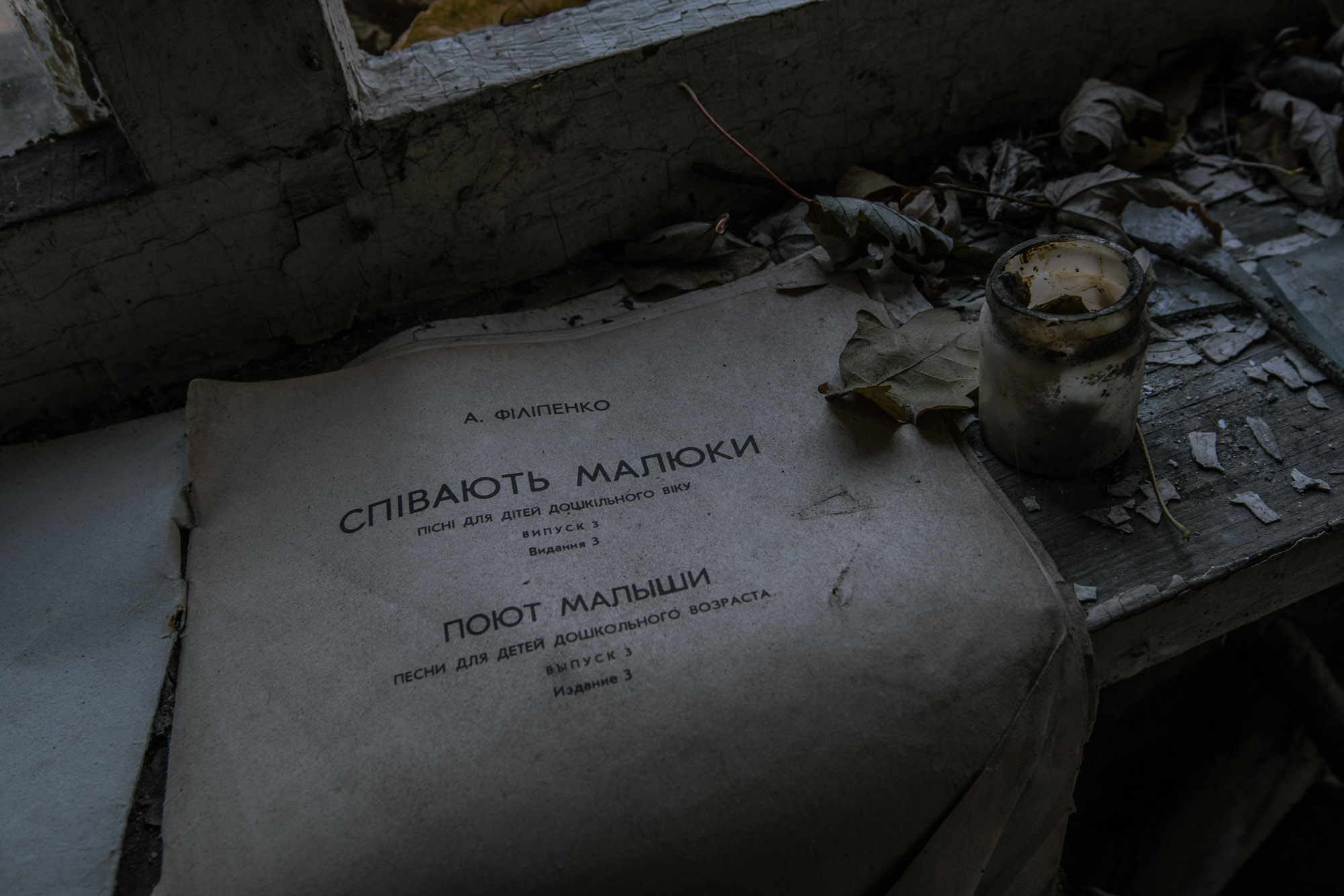Chernobyl Exclusion