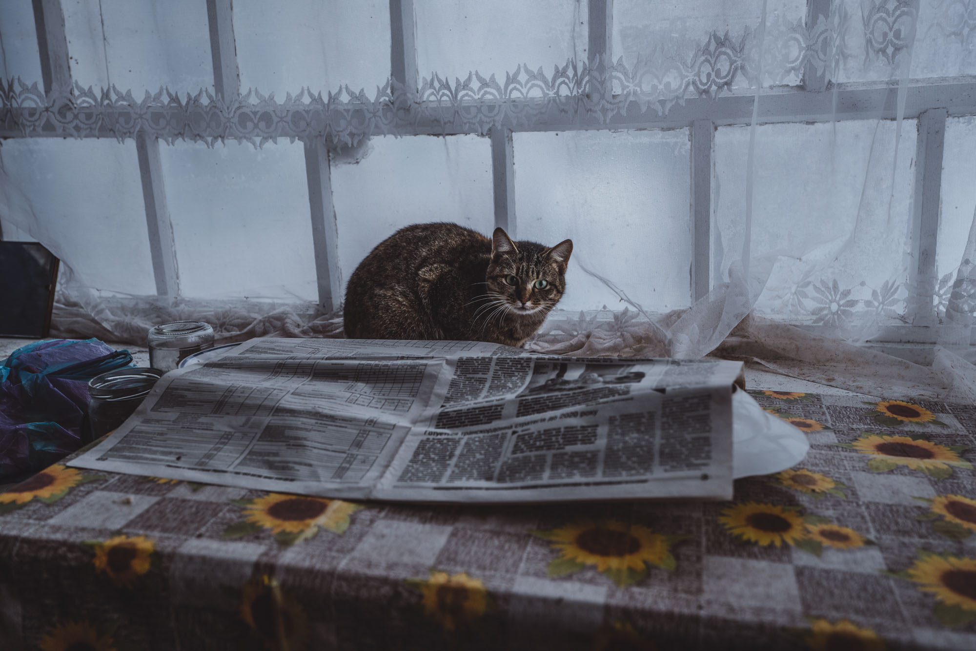 Chornobyl Resettlers