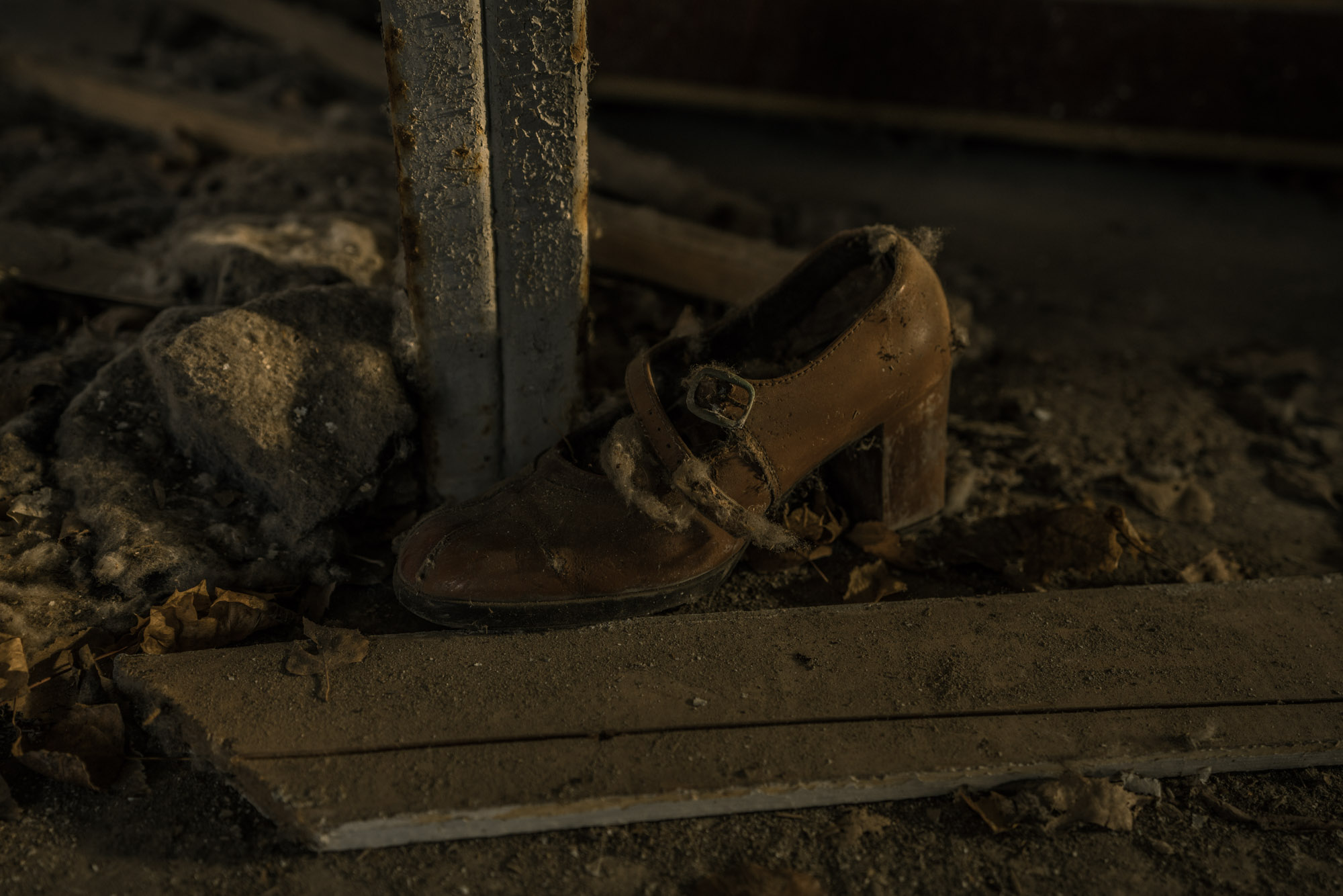 Chernobyl Exclusion