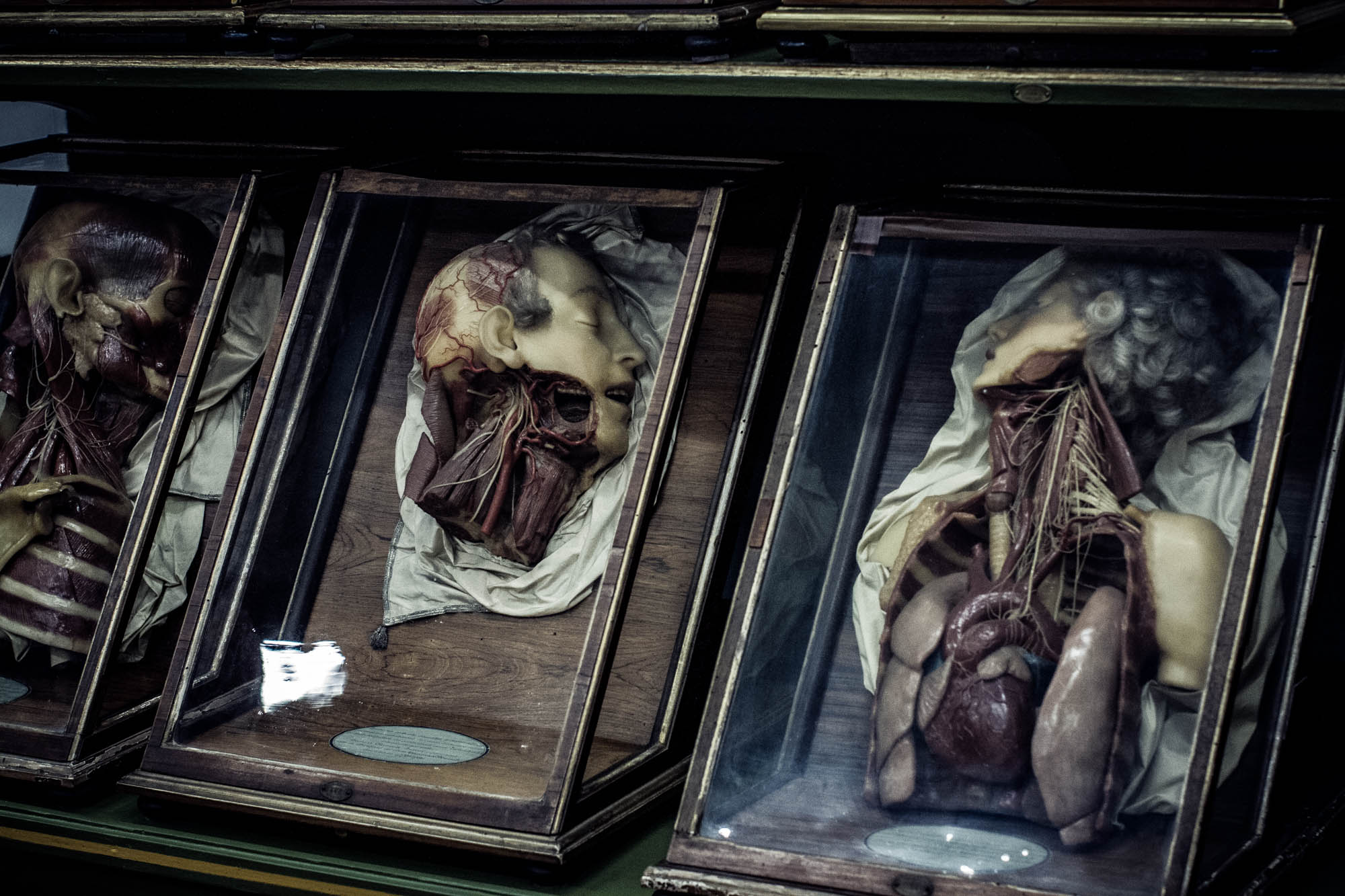 Wax & Death