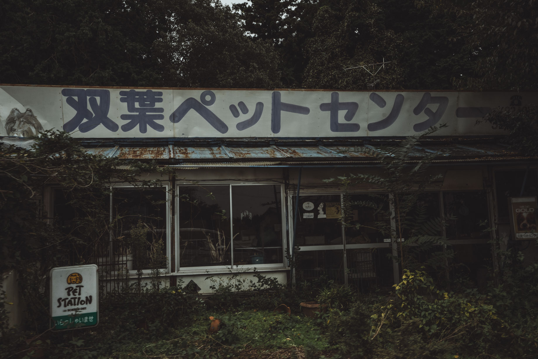 Japan: Fukushima